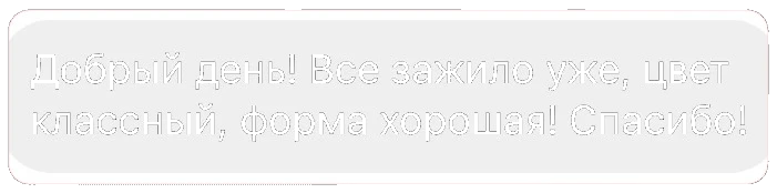 Добрый день! Всё зажило уже, цвет классный, форма хорошая! Спасибо!
